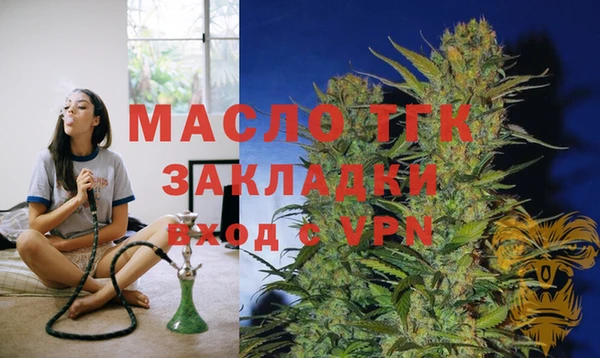 крисы Алзамай